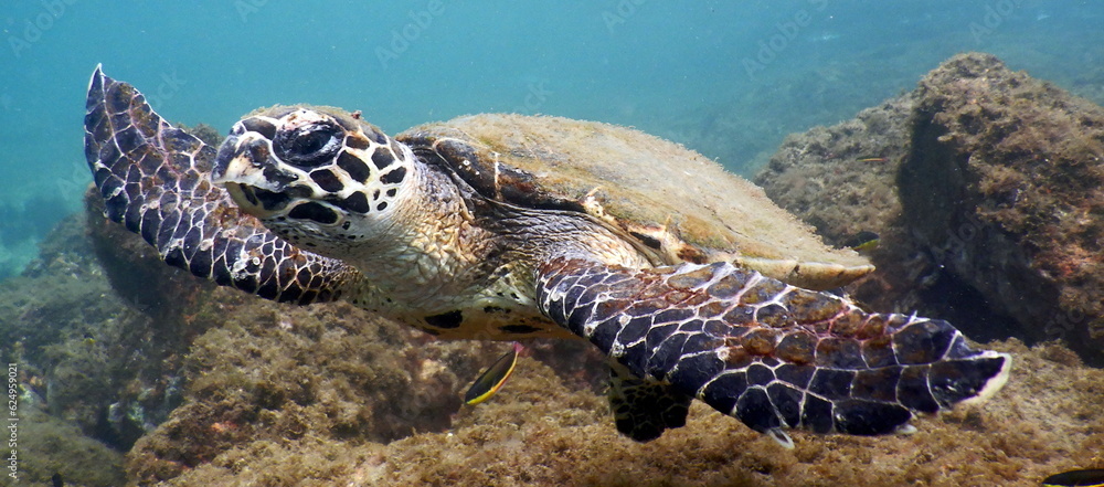 Obraz premium Costa Rica