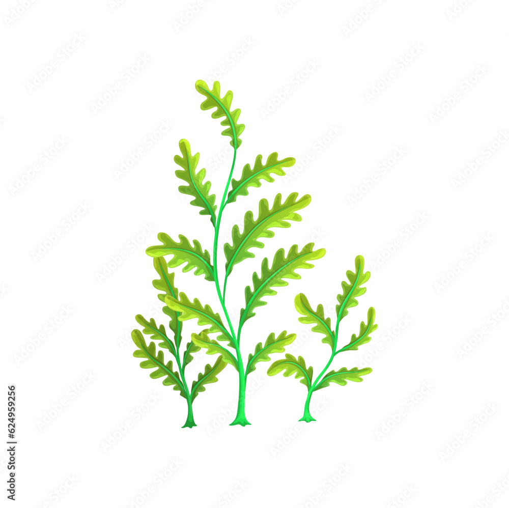 Cartoon sea underwater algae, aquarium seaweed plant. Ocean seaweed, tropical sea marine flora or coral reef undersea water algae, aquarium isolated vector underwater deep seaweed Cartoon sea underwater algae, aquarium seaweed plant. Ocean seaweed, tropical sea marine flora or coral reef undersea water algae, aquarium isolated vector underwater deep seaweed