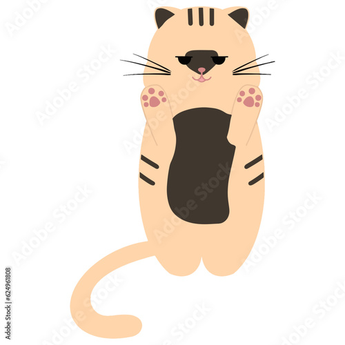 cat 2d drawing  on white background