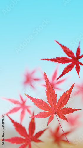 落ちていく紅葉の葉。青空。（横長） © nanako