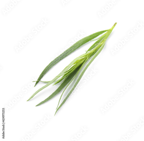 One sprig of fresh tarragon on white background, above view