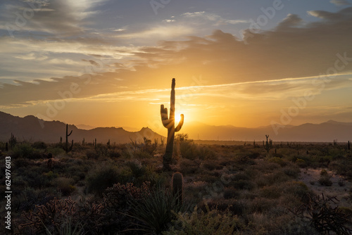 Extreme Heat Wave Arizona Desert Sunrise 2023