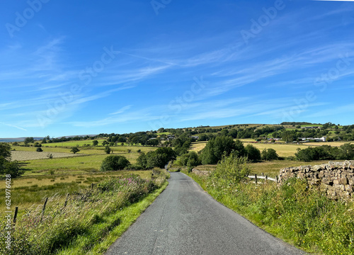 Panoramic view from, Smalden Lane of the Lancashire countryside, with dry stone walls, wild plants, fields and hills,in Grindleton, UK