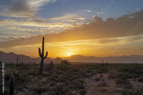 Hazy 2023 Desert Heat Wave Sunrise Landscape In Phoenix Arizona