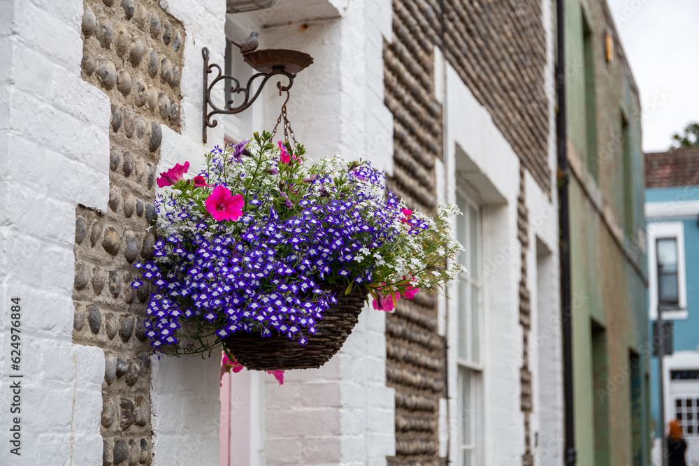 Pretty colourful hanging basket containing flowers including trailing lobelias and petunias outside a house on a pretty row of urban terraced houses