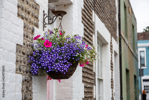 Photography Pretty colourful hanging basket containing flowers including trailing lobelias a