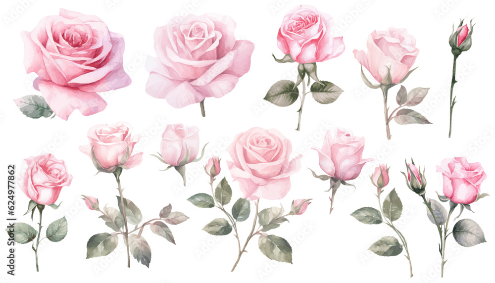 Watercolor pink rose flower and leaf bouquet clipart collection isolated on white background vector illustration set. 