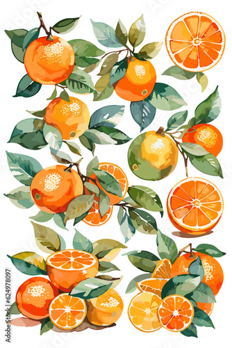 oranges with leaves isolated