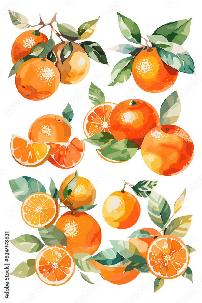 oranges with leaves isolated oranges with leaves isolated