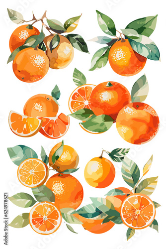 oranges with leaves isolated