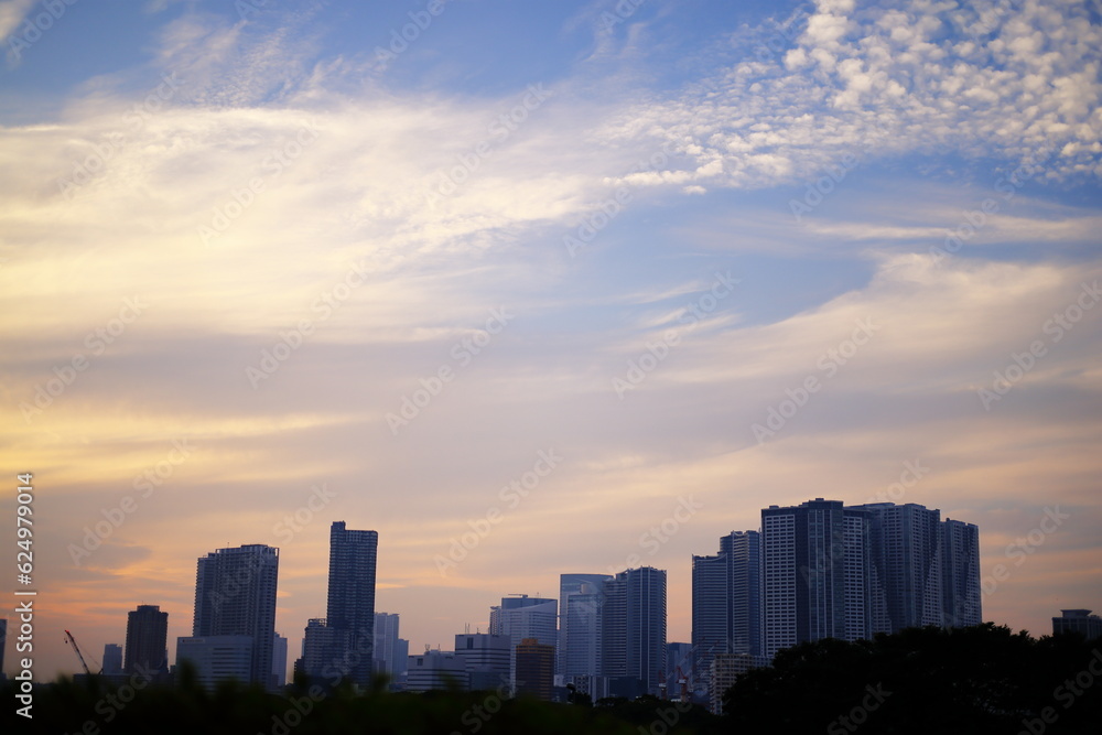 東京湾岸地域にかかる様々な雲