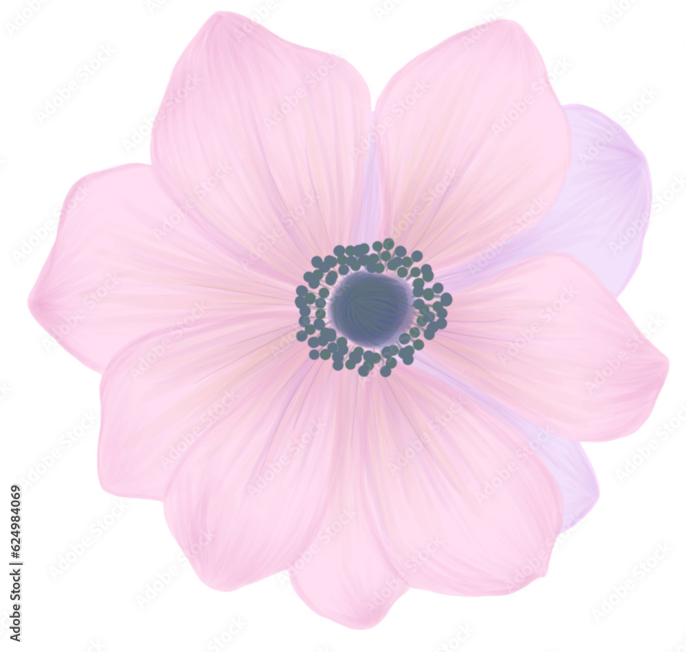 Pink Flower with tint of purple with transparent background Pink Flower with tint of purple with transparent background