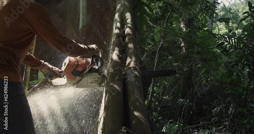 Amazon Rainforest Logger takes Chainsaw to Tree