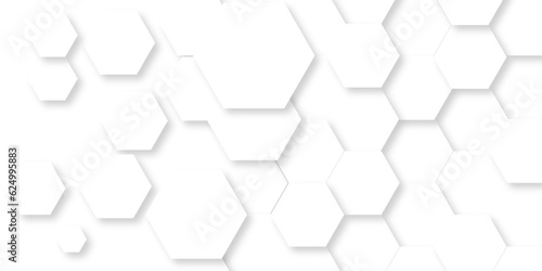 Background with white and black lines 3d Hexagonal structure futuristic white background and Embossed Hexagon , honeycomb white Background ,light and shadow ,Vector. 