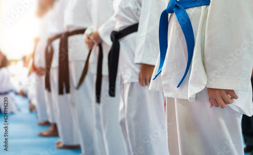 Martial arts athletes in martial arts training exercising taekwondo