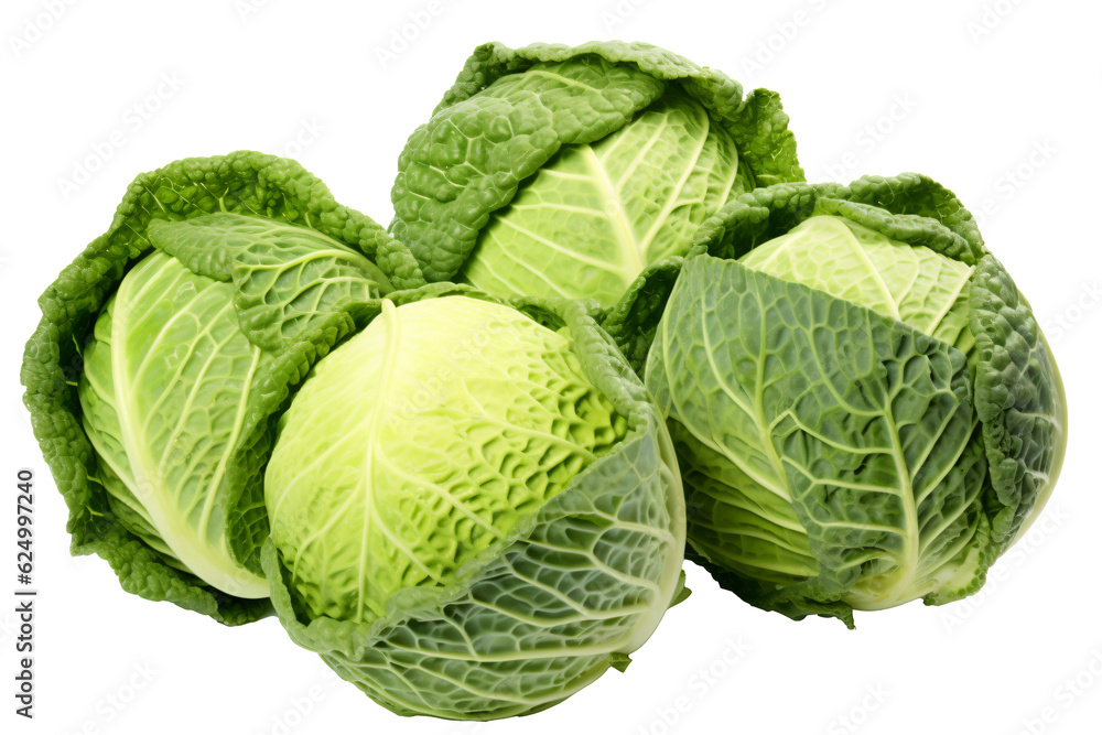 Fototapeta premium cabbage isolated on white background