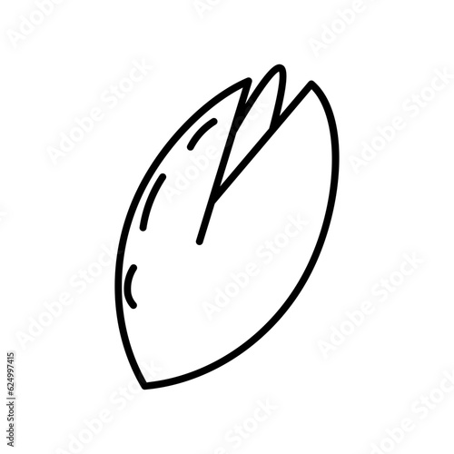 pistachio line icon