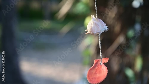 beautiful seashells mobile decoration hanging with wind blowing, slowmotion natural scene background