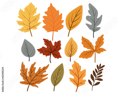 Set of colorful autumn leaves, vector illustration
