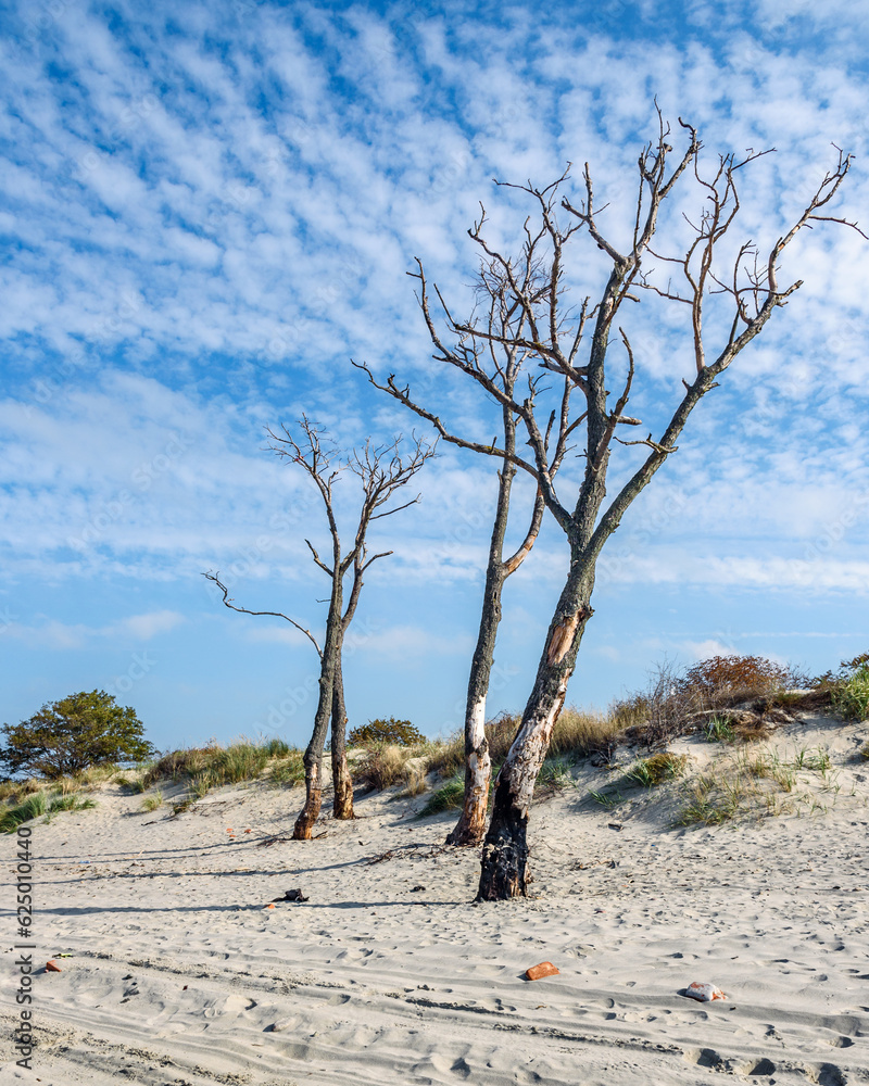 Sandy beach on coastline of Baltic Sea on Vistula Spit. Baltiysk. Russia