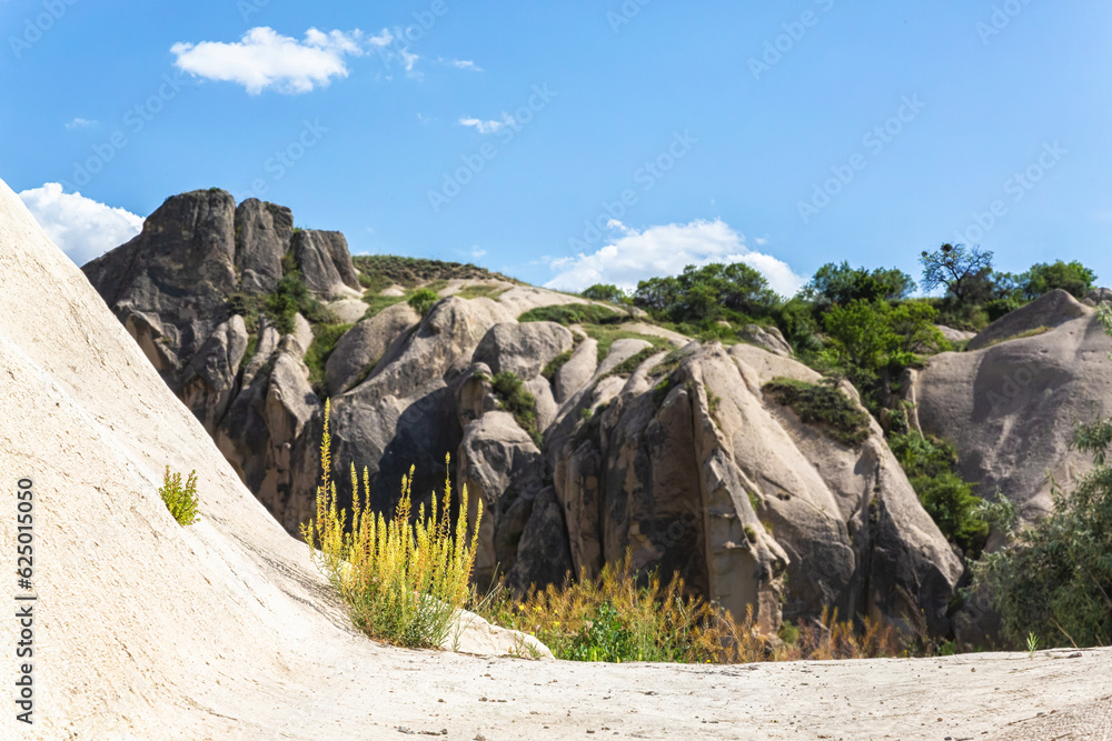 Rocks and plants. Mountain defocused landscape at background. Goreme open ar museum, Cappadocia, Turkey (Turkiye)