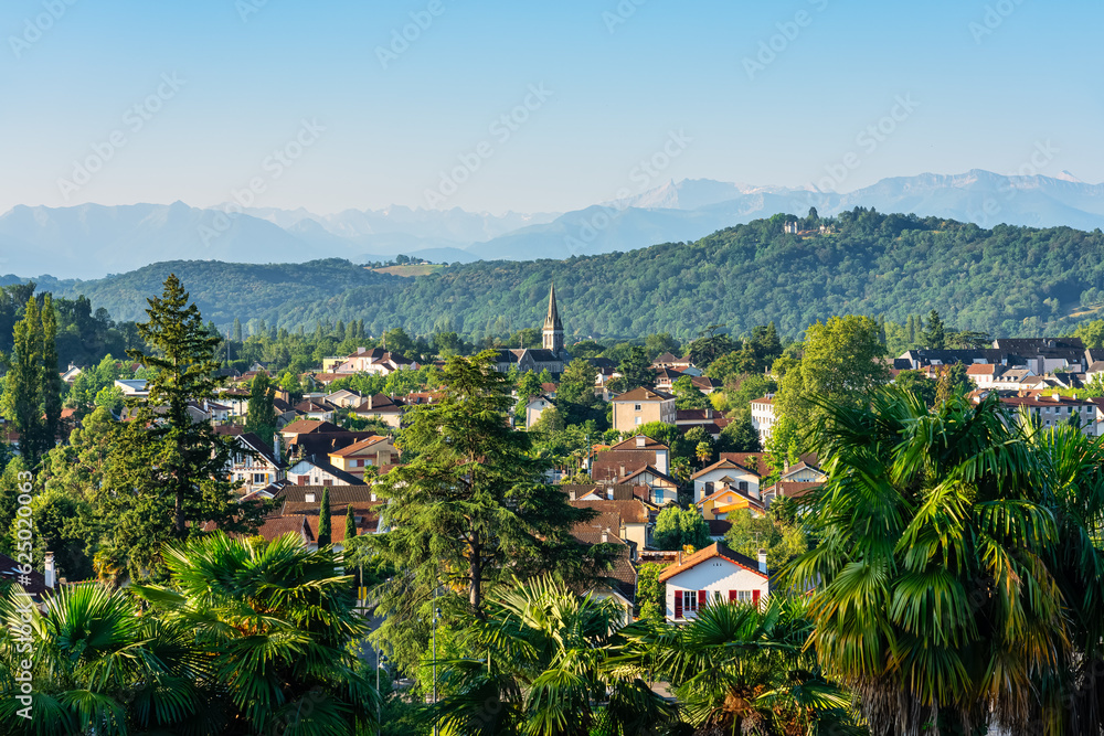 Houses of the city of Pau among the trees and facing the Pyrenees on a sunny day, France.