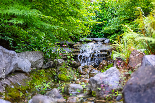 Stream that falls on stones and between green plants in a Japanese-style garden.