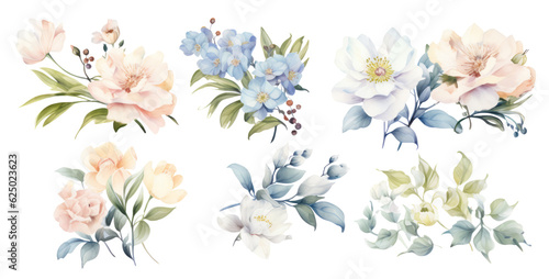 watercolor flowers painting  - transparent