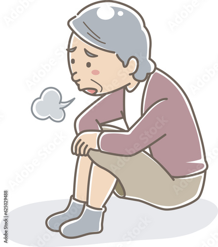 孤立感を感じている高齢女性