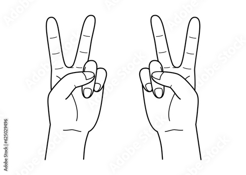 Vector line drawing illustration of two hands making the V-sign