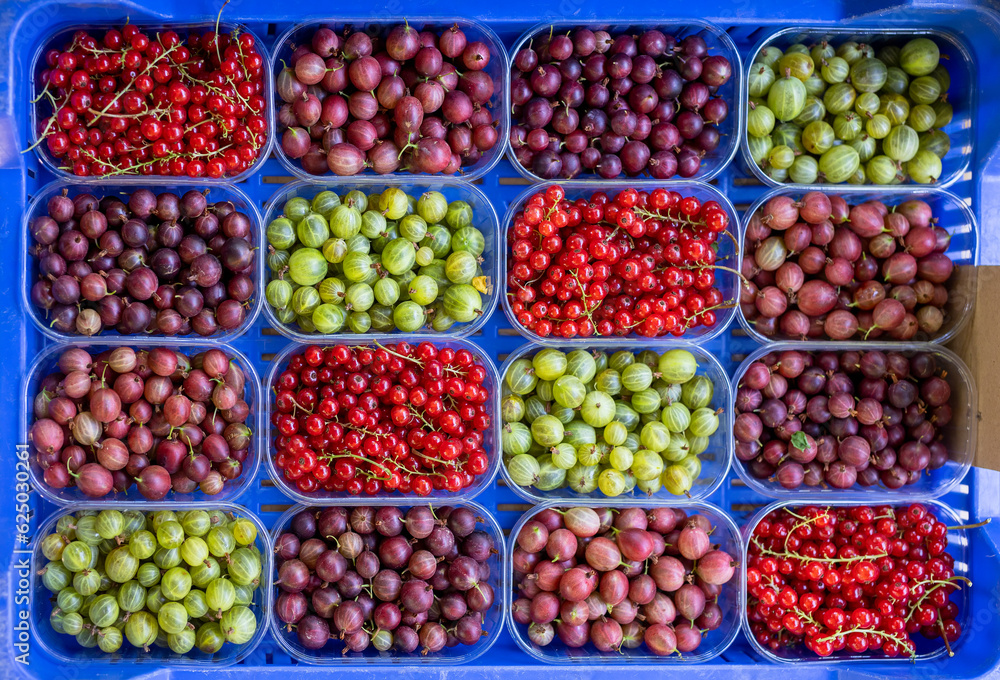 Heap of raspberry, red currant and gooseberry in market Heap of raspberry, red currant and gooseberry in market