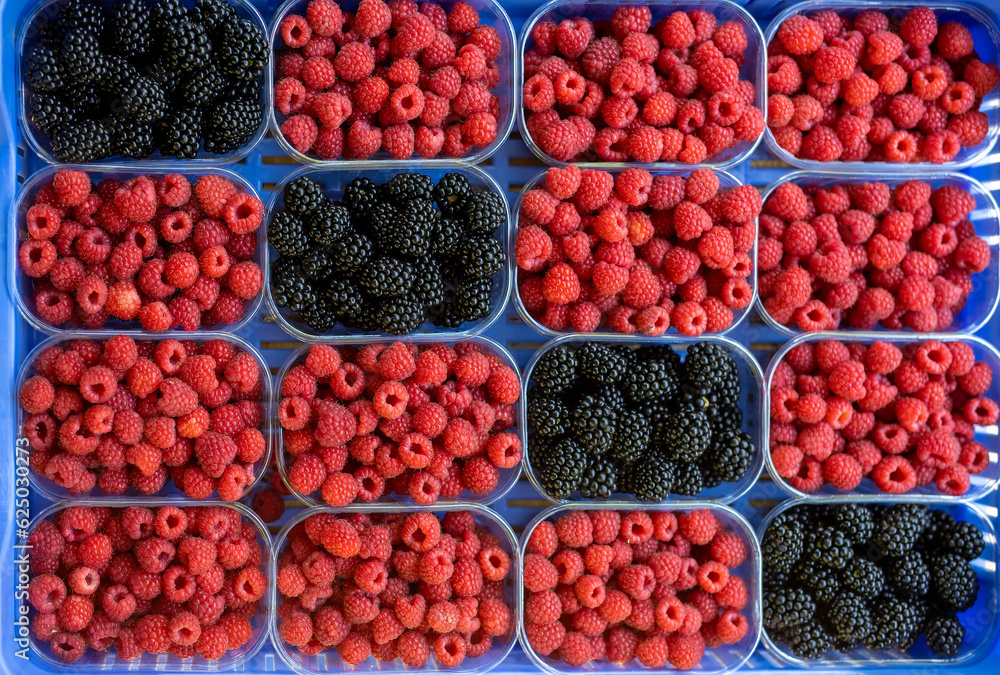 Heap of blackberries, and raspberry in market Heap of blackberries, and raspberry in market