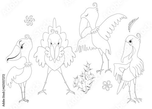 Set of Shoebill Storks. Bird shoebill vector illustration clip art coloring book