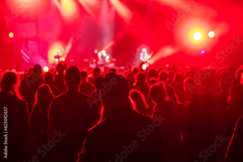 Unrecognizable people standing and listening to music of artists on stage in concert