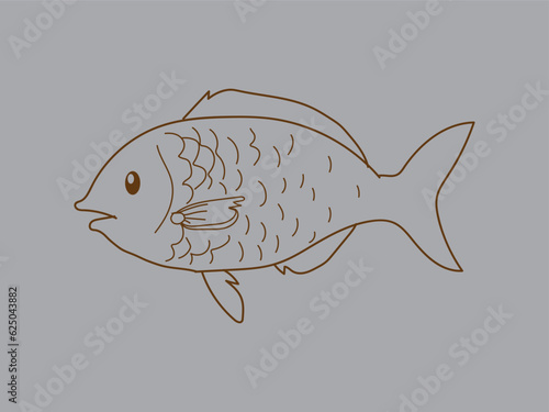 Hand-drawn vector illustration of fish isolated on