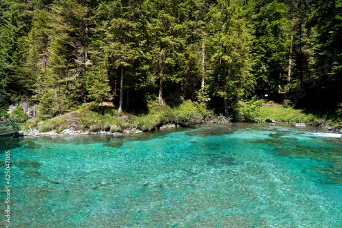 river and forest in the nambrone valley of trentino