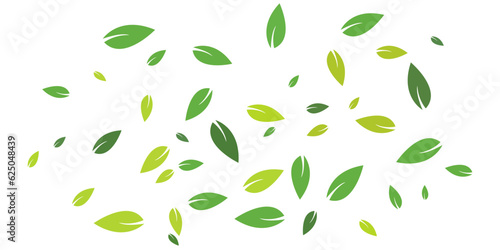 Wallpaper Mural Green leaves background, green leaves vector background illustration template, leaves on a white background. Torontodigital.ca
