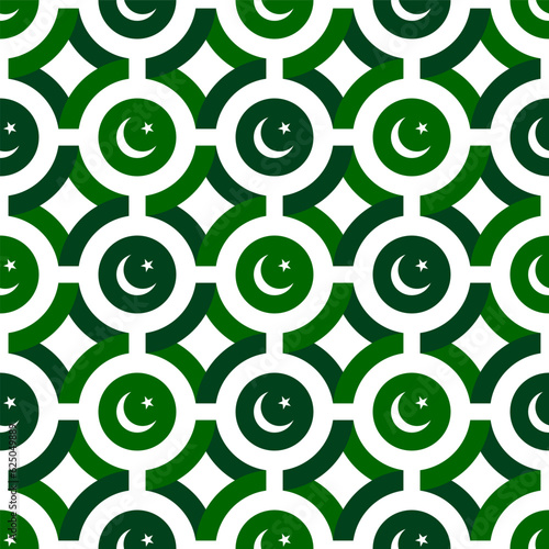 pakistan flag pattern design. vector illustration