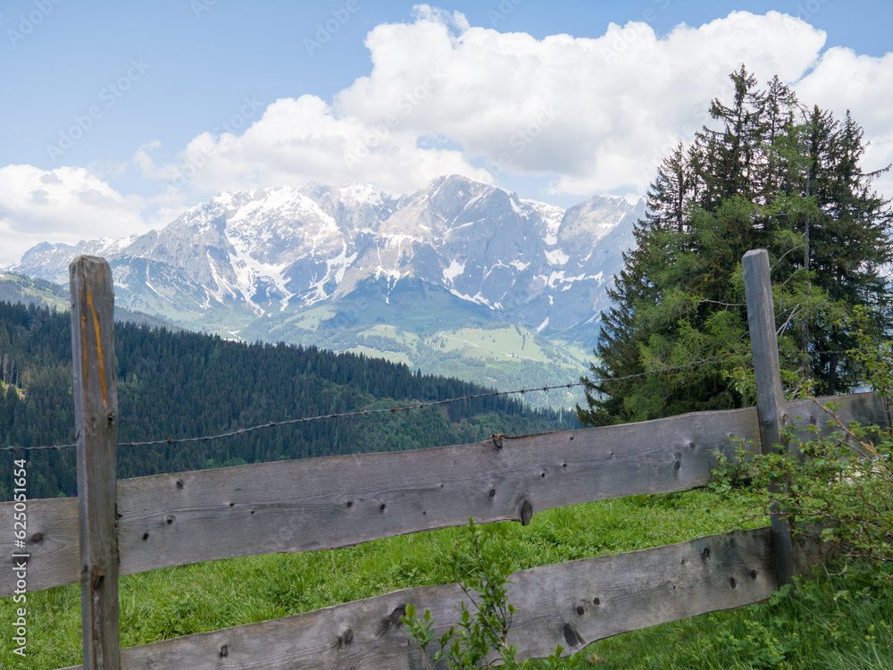 Alps and Alpine Landscape at Muehlbach am Hochkoenig in Summer Austria Europe