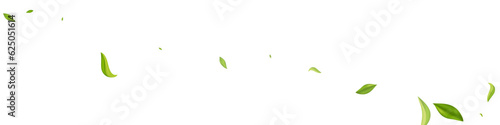Lime Foliage Flying Vector White Panoramic