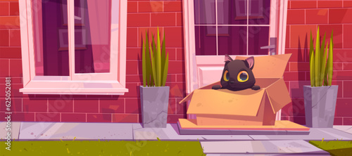 Homeless black cat sitting in cardboard box on house porch in sunny weather. Vector cartoon illustration of cute fluffy kitten waiting new master near house door, looking for home. Pet adoption