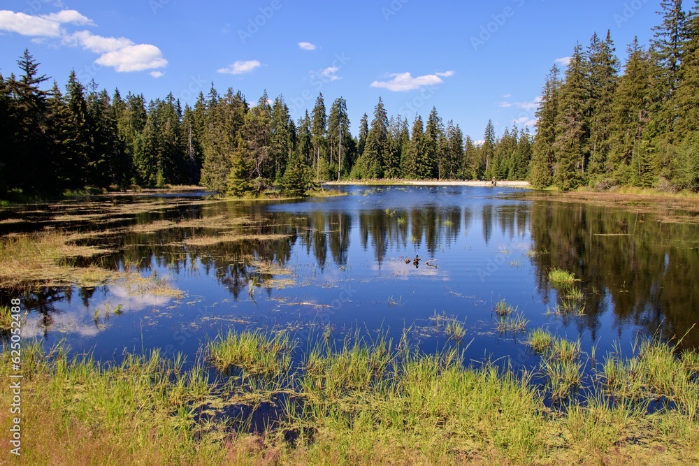 The surface of the pond surrounded by forest at Kladska, Czech republic