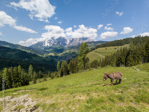 Alps and Alpine Landscape at Muehlbach am Hochkoenig in Summer Austria Europe © scimmery1