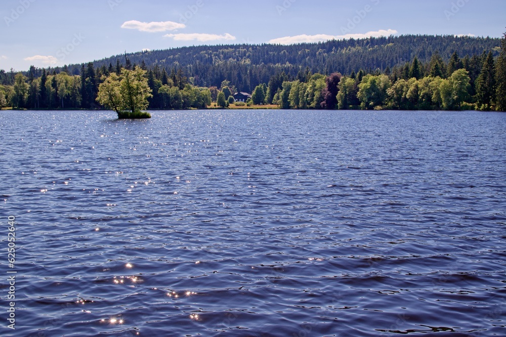 The surface of the pond surrounded by forest at Kladska, Czech republic