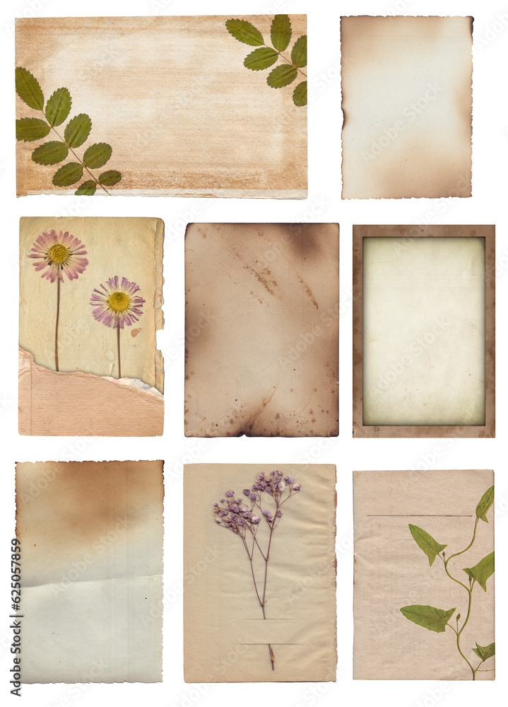 Set of Old various vintage rough paper with scratches, stains and dry plants texture isolated