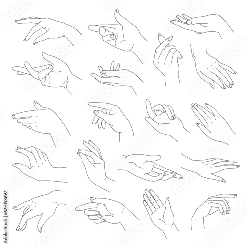 Elegant and tender hands with fingers, vector
