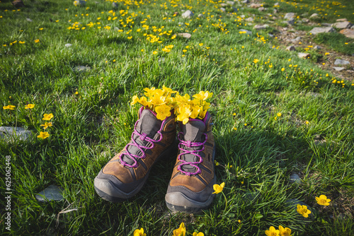 Hiking boots with yellow wild flowers in grass