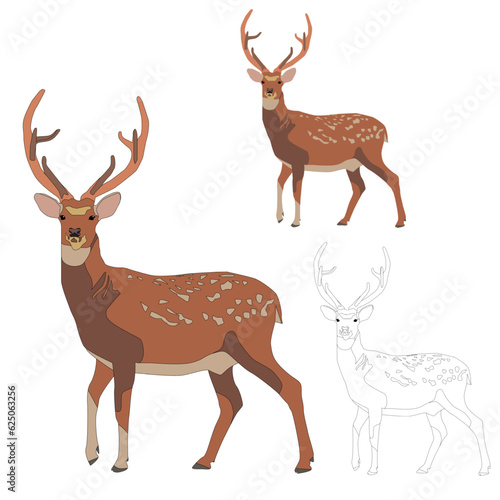 Vector adult forest brown spotted deer stands with big antlers on a white background isolated