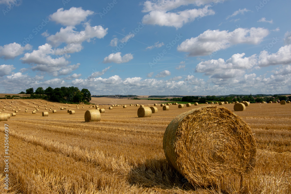 
typical french landscape with large rolls of hay drying in the field in the hills of the seine-et-marne department