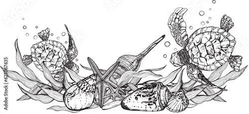 Marine composition banner of sea turtles among shells, algae stones of starfish. Black and white hand-drawn graphics translated into vector illustration 